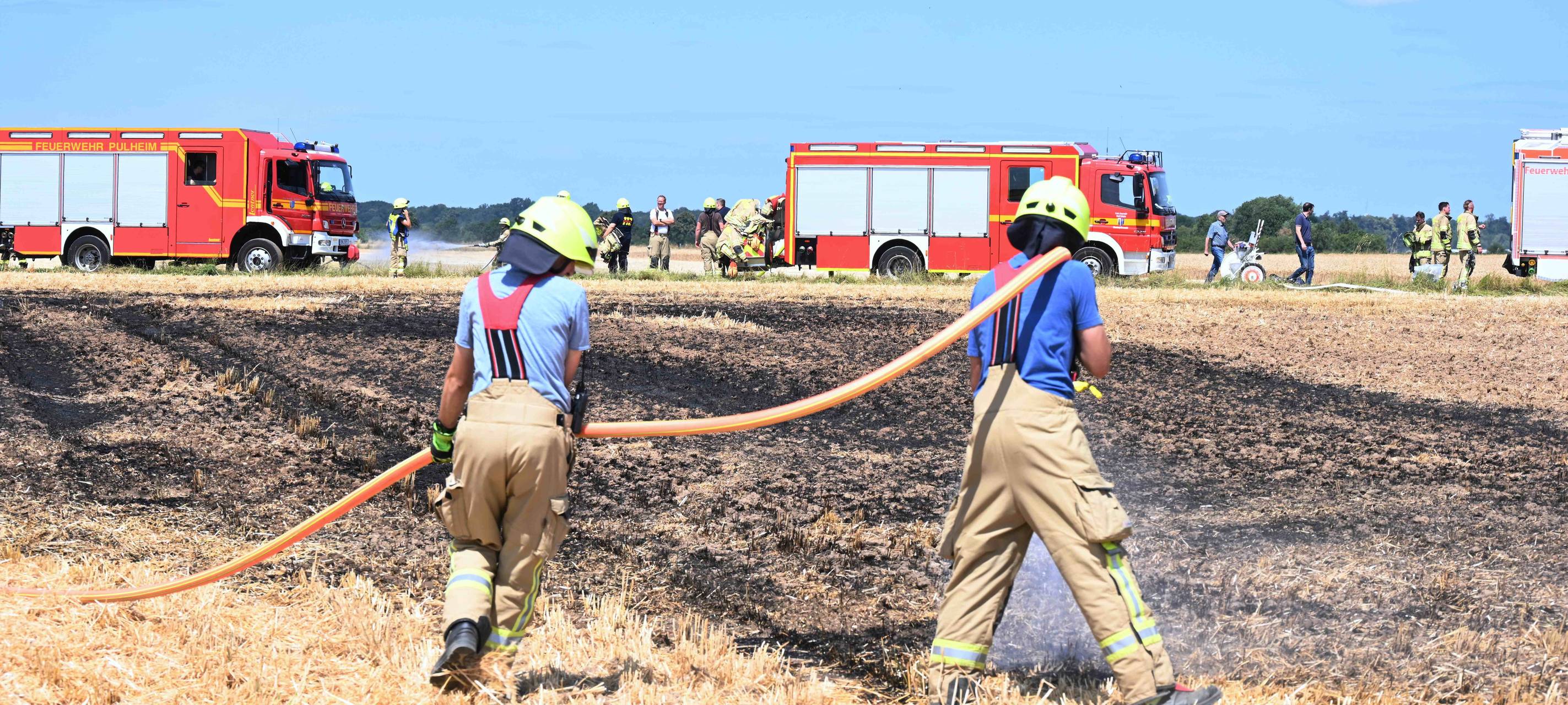 Pulheim/Brühl: Feuerwehr bei Feld- und Waldbrand im Einsatz