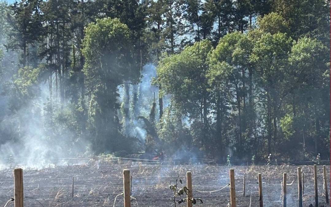 Brühler Feuerwehr hilft bei Flächenbrand in Bornheim