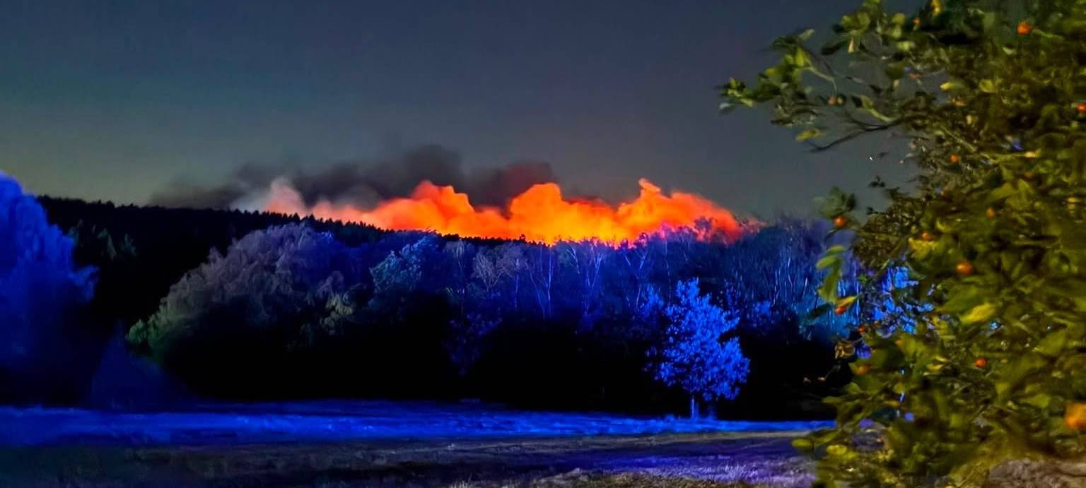 Waldbrand bei Düren: Hilfe aus dem Rhein-Erft-Kreis