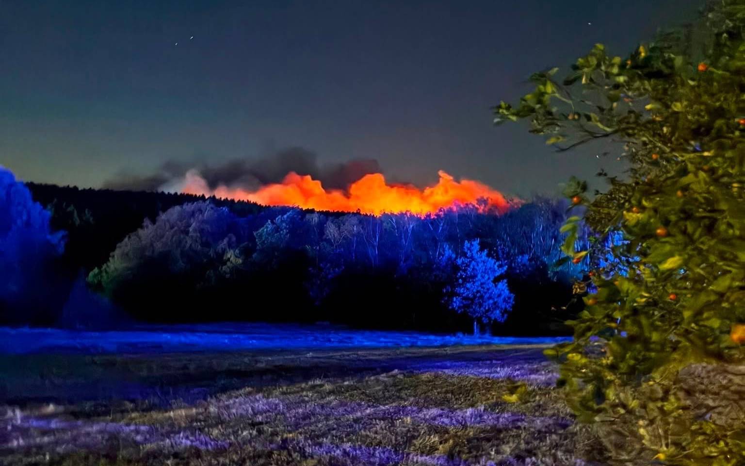 Waldbrand bei Düren: Hilfe aus dem Rhein-Erft-Kreis