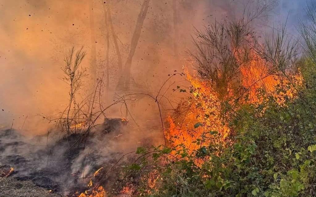 Waldbrand bei Düren: Brandgeruch mittlerweile auch in Kerpen