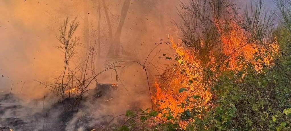 Waldbrand bei Düren: Brandgeruch mittlerweile auch in Kerpen